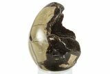 Septarian Dragon Egg Geode - Sparkly Black Crystals #336471-1